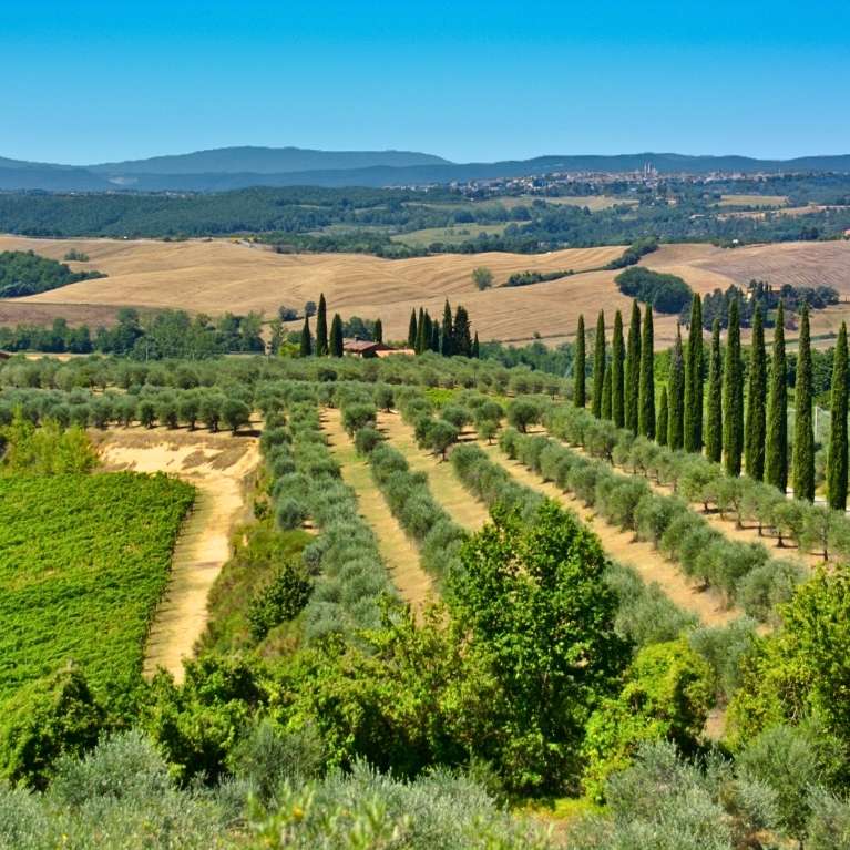 Camping Figline Valdarno